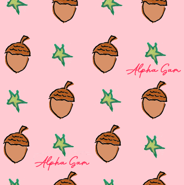 Alpha Gamma Delta Iconic Cosmetic Bag