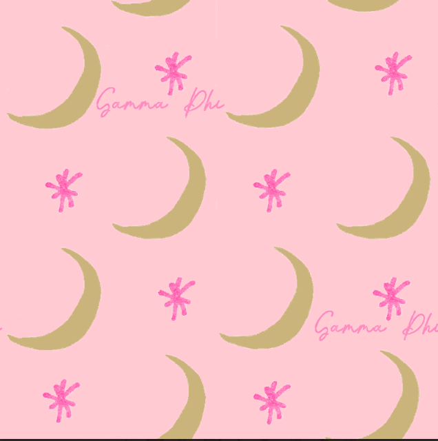 Gamma Phi Beta Iconic Cosmetic Bag