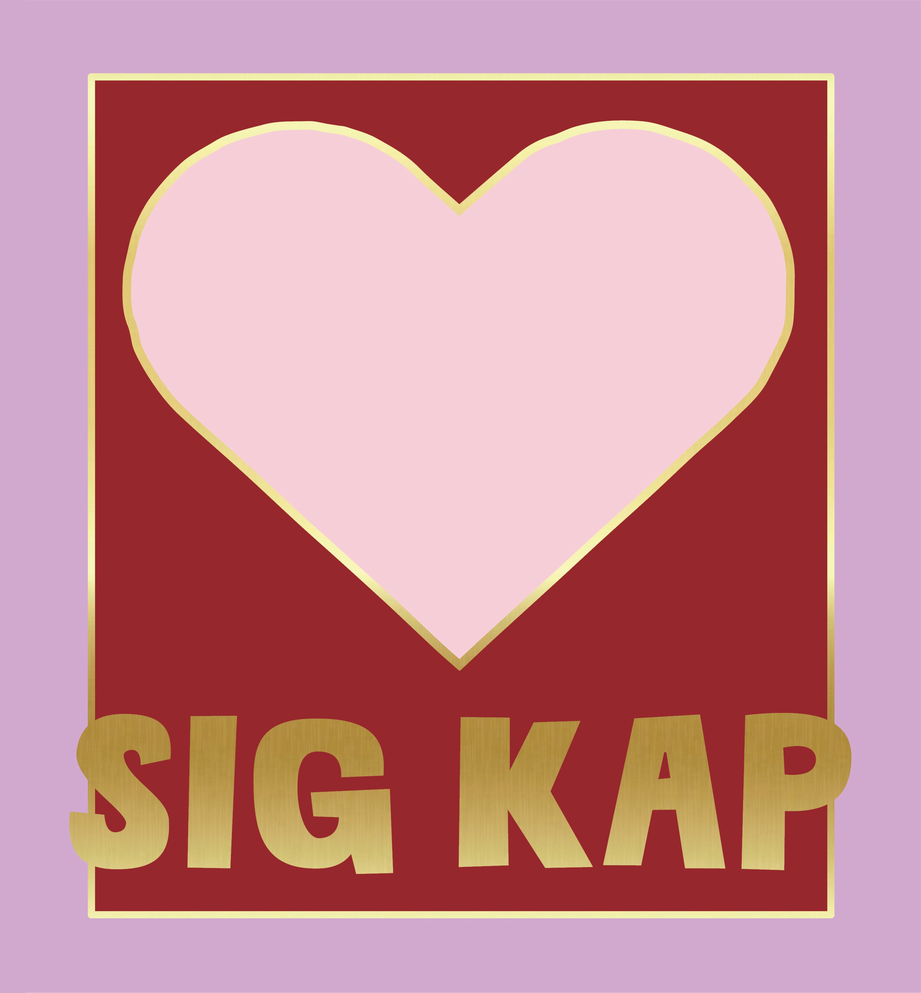 Sig Kap Color Block Photo Album